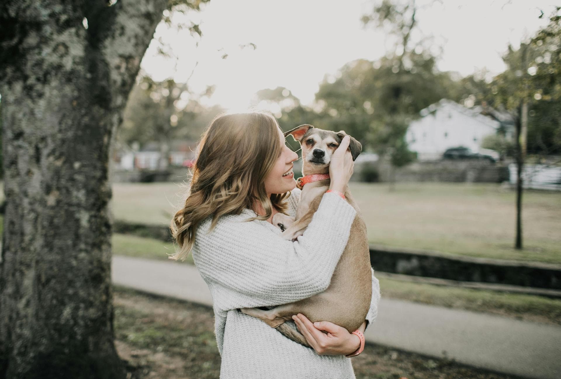 Dog Spay Castrate Neutering Prices in Ealing
